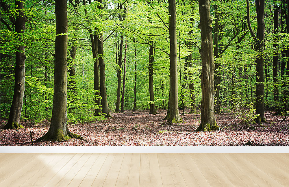 Folieløsninger på vægge