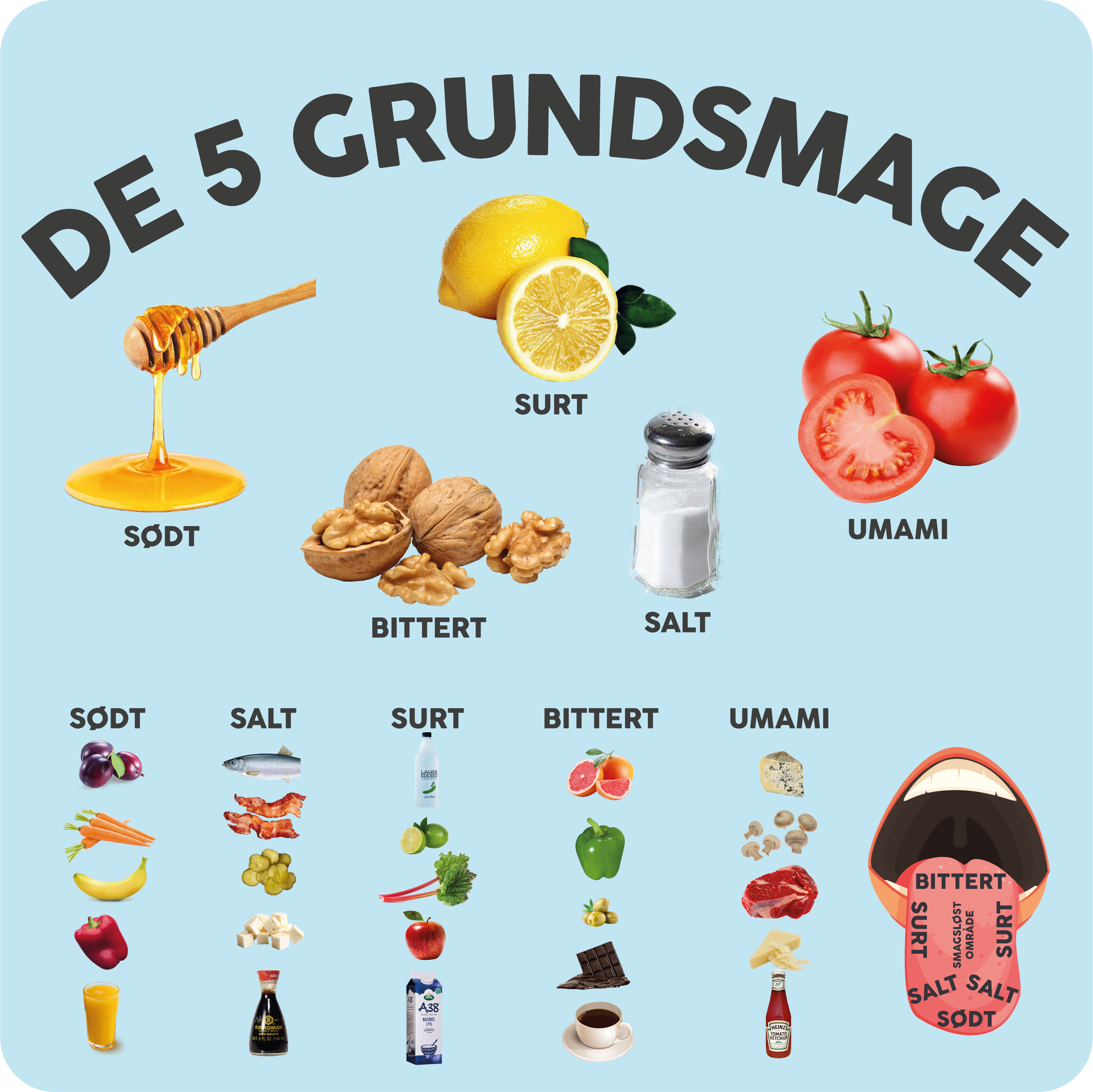 De fem grundsmage (med billeder)
