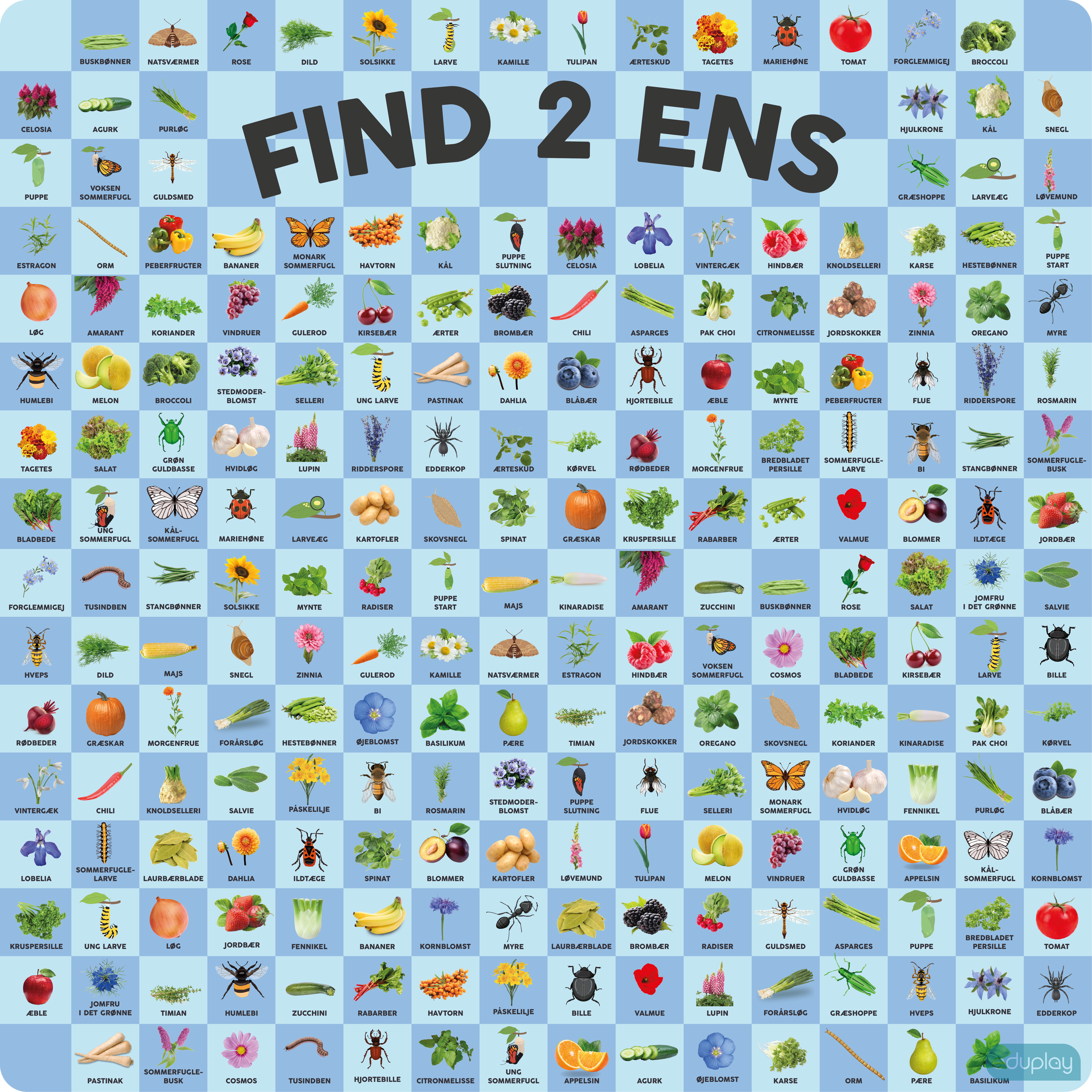 Find 2 ens - natur