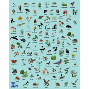 Stj dmpende skrmvg med 99 arter (H150xB120 cm)