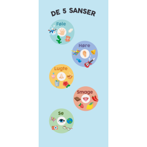 De 5 sanser