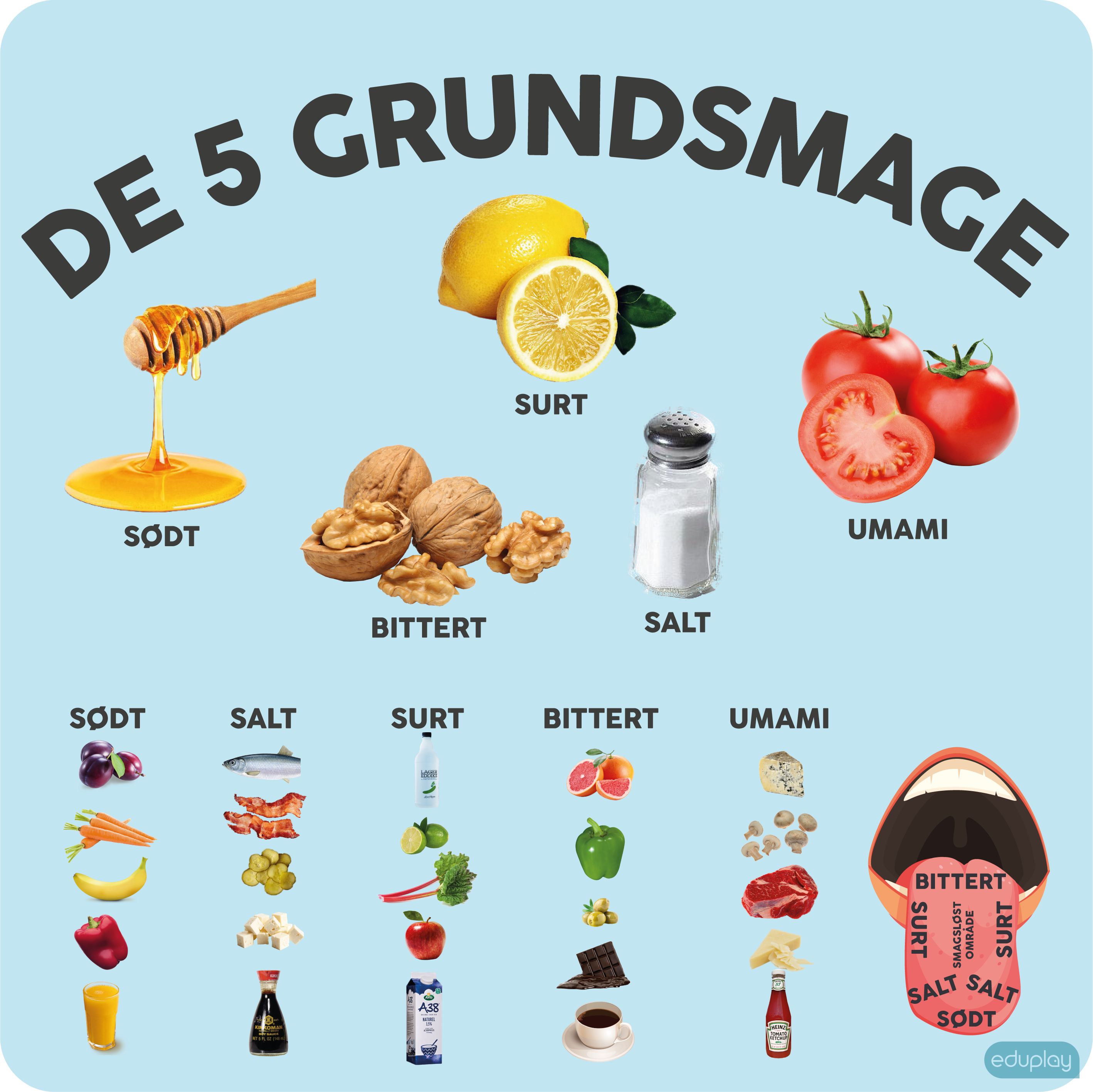 De fem grundsmage (med billeder)