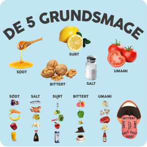 De fem grundsmage (med billeder)