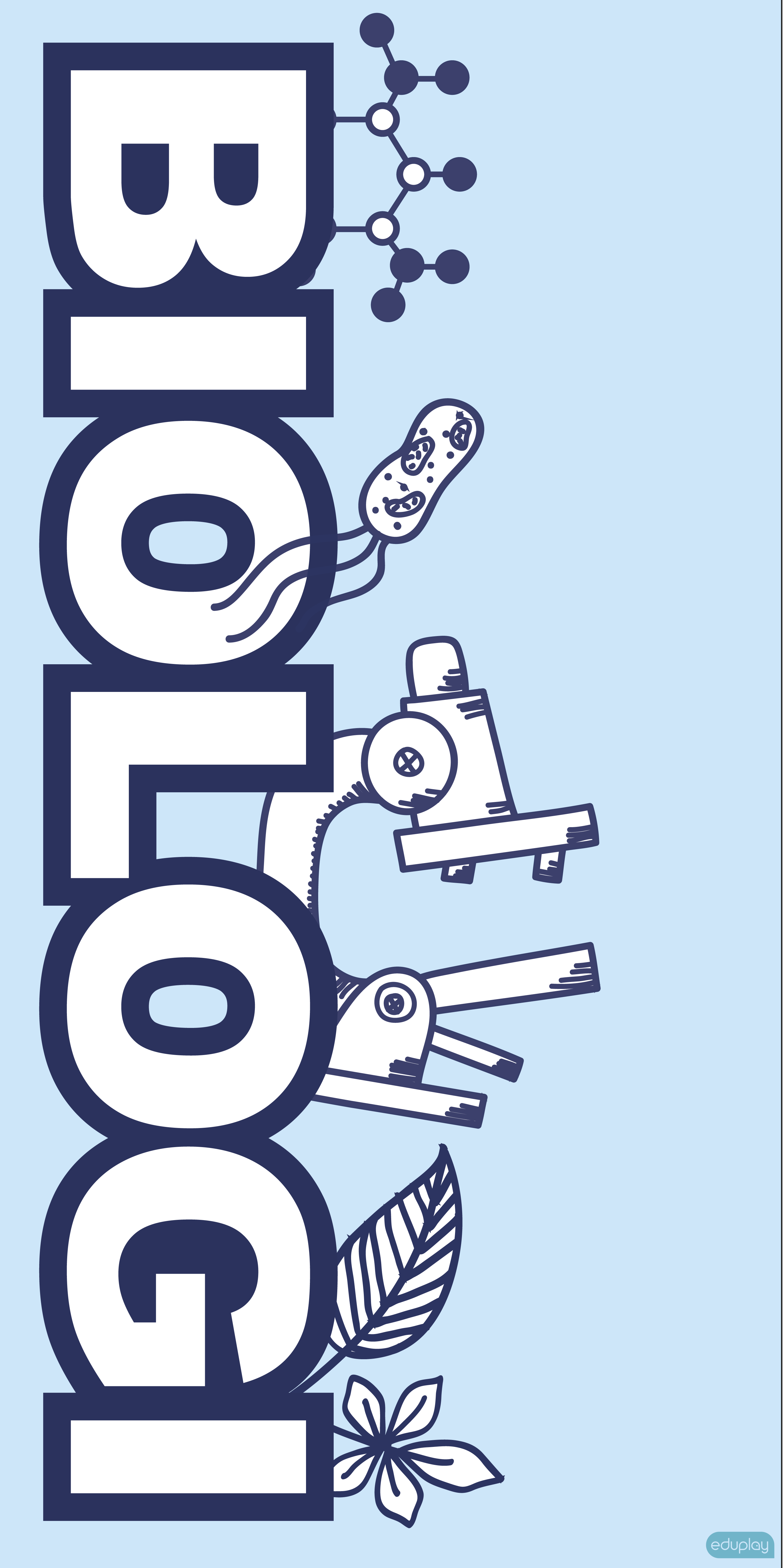Fagdr - Biologi