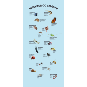 Insekter og smdyr