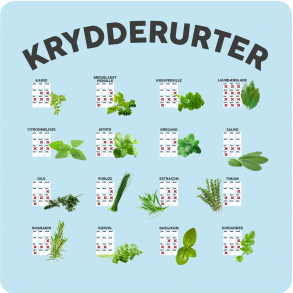 Krydderurter