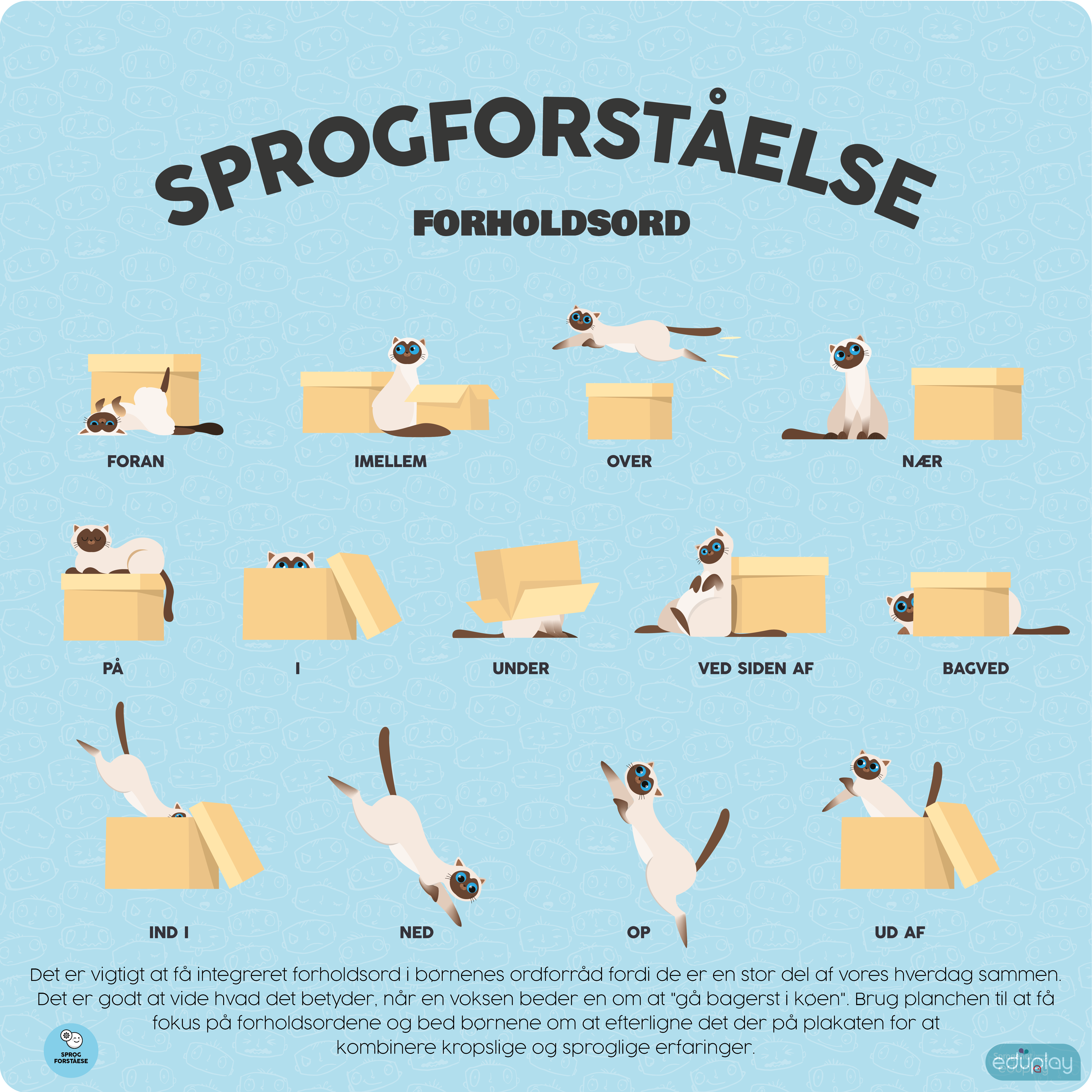 Sprogforstelse - Forholdsord