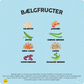 Ordforrd - Blgfrugter