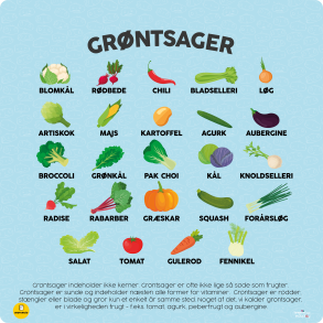 Ordforrd - Grntsager