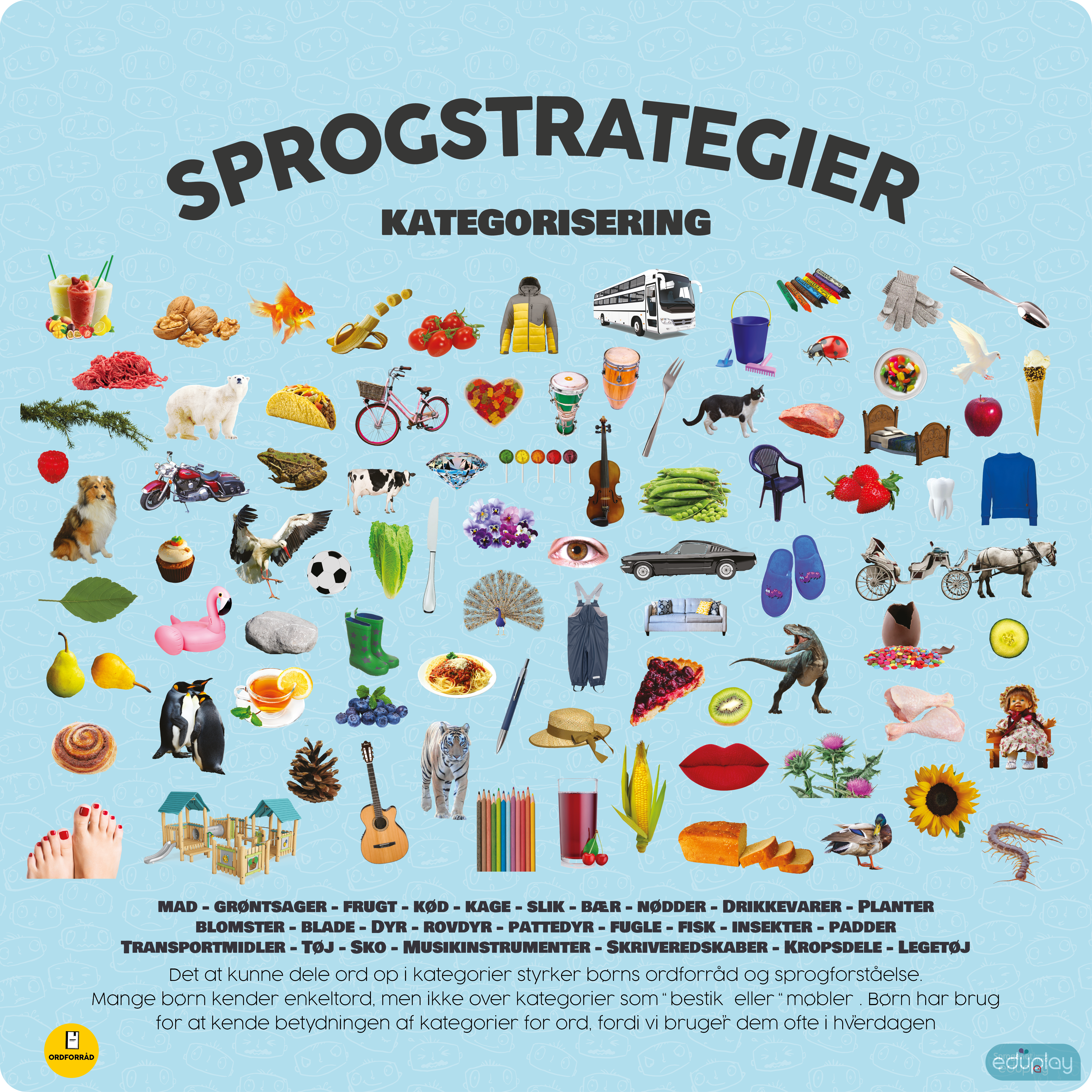 Ordforrd - Kategorisering