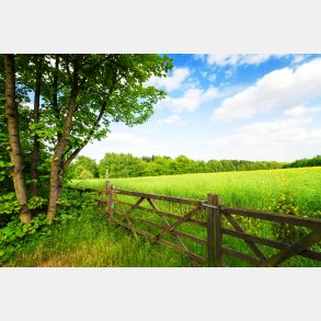 Mark med hegn - vgfolie