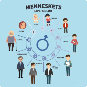 Menneskets livsforlb - Dreng