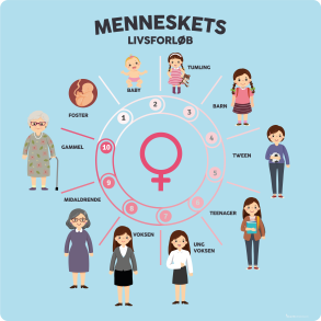 Menneskets livsforlb - Pige