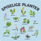 Spiselige planter