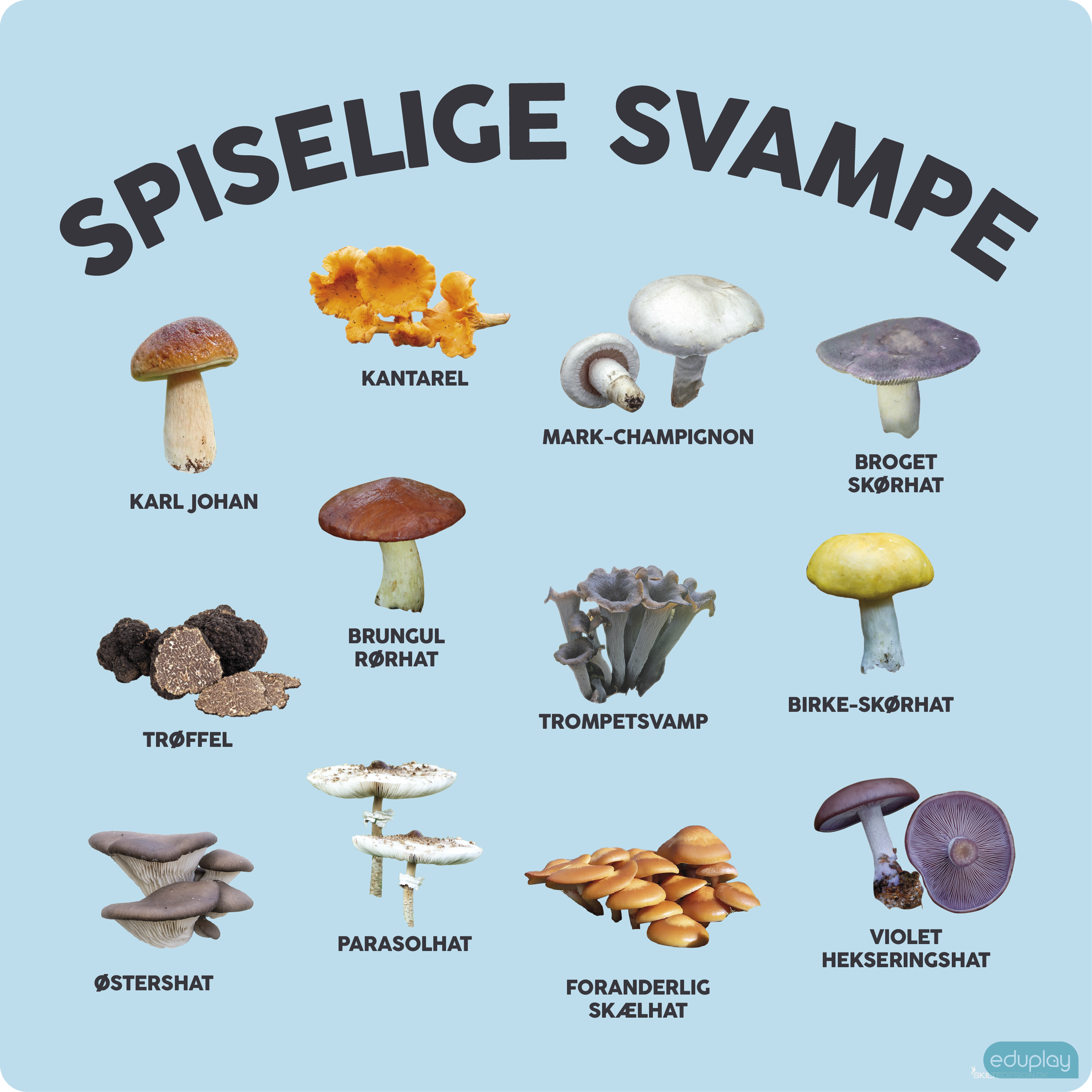 Spiselige svampe