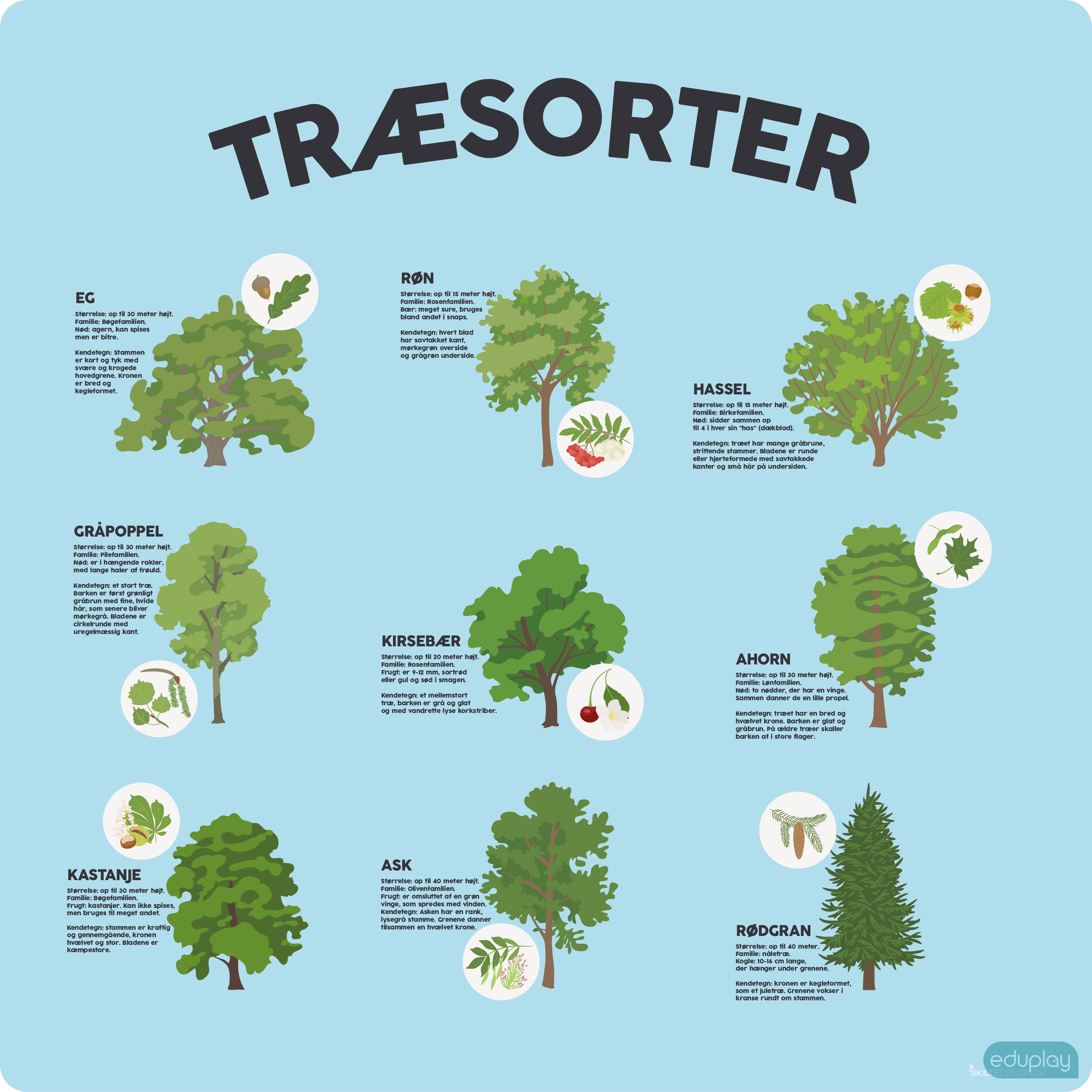 Trsorter 2