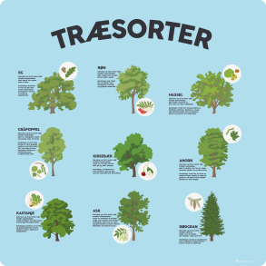 Trsorter 2