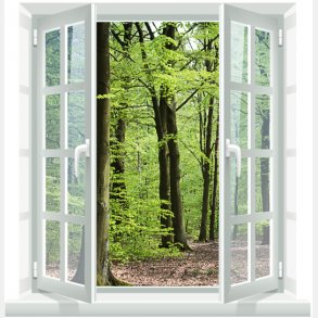Vinduesparti med udsigt til skov - vgfolie - 100x100 cm
