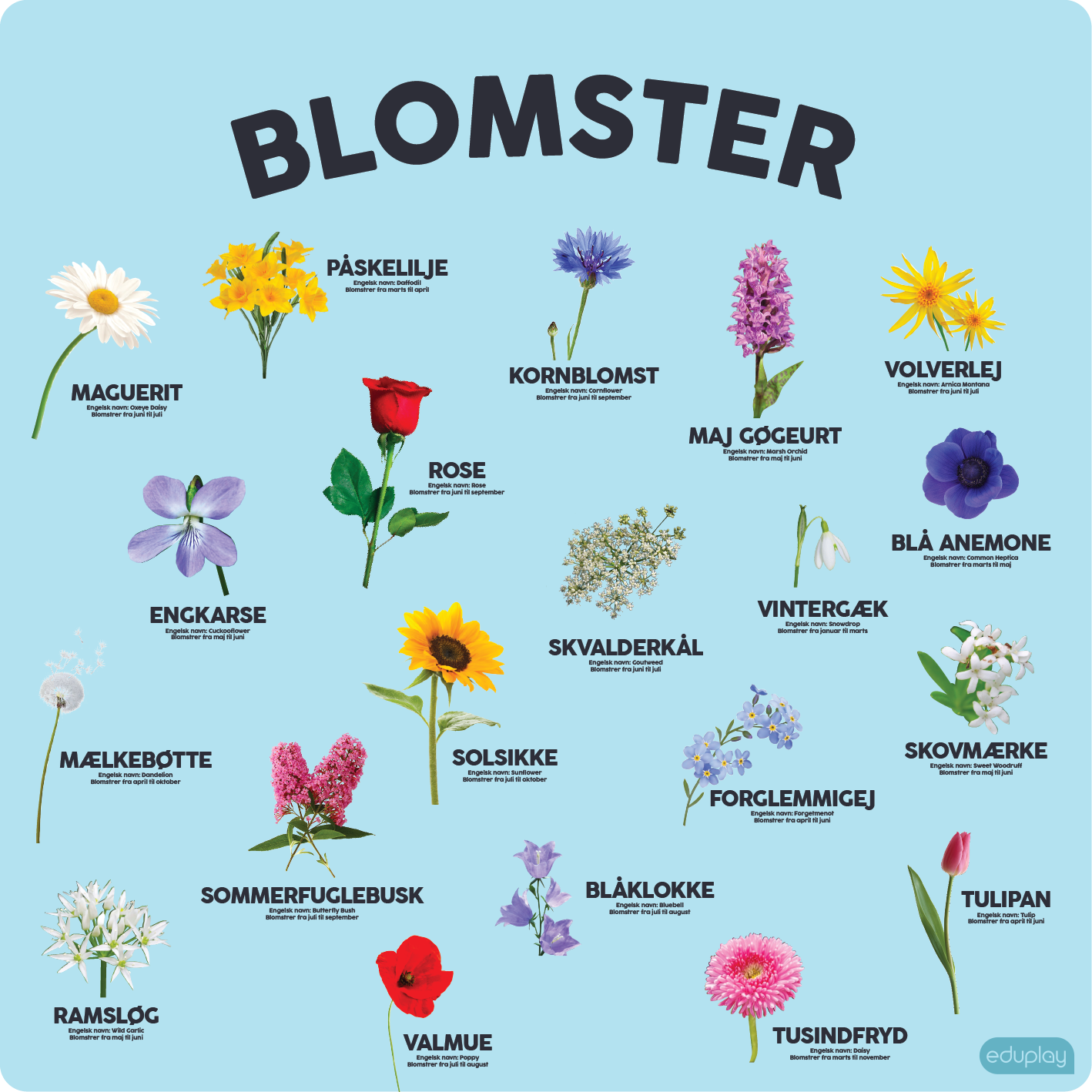 Blomster