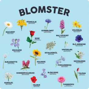 Blomster