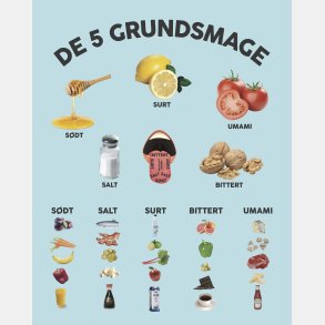 Stj dmpende skrmvg med de 5 grundsmage (H150xB120 cm)