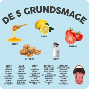 De fem grundsmage (med tekster)