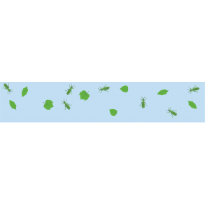 Grshopper - vinduesfolie