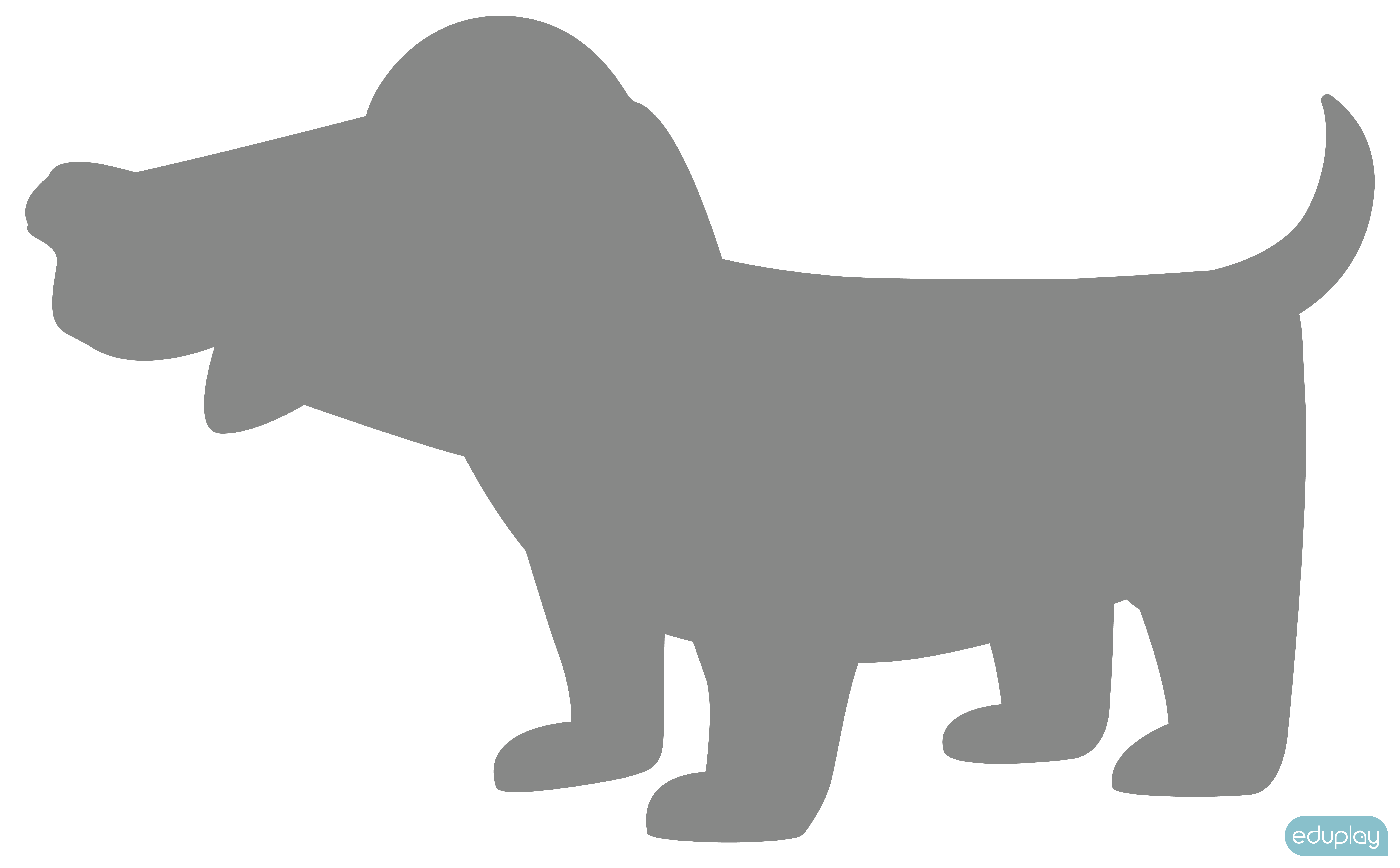 Hund spejlfigur