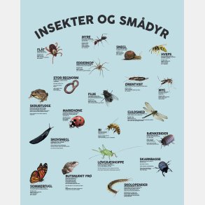 Stj dmpende skrmvg med insekter og smdyr (H150xB120 cm)