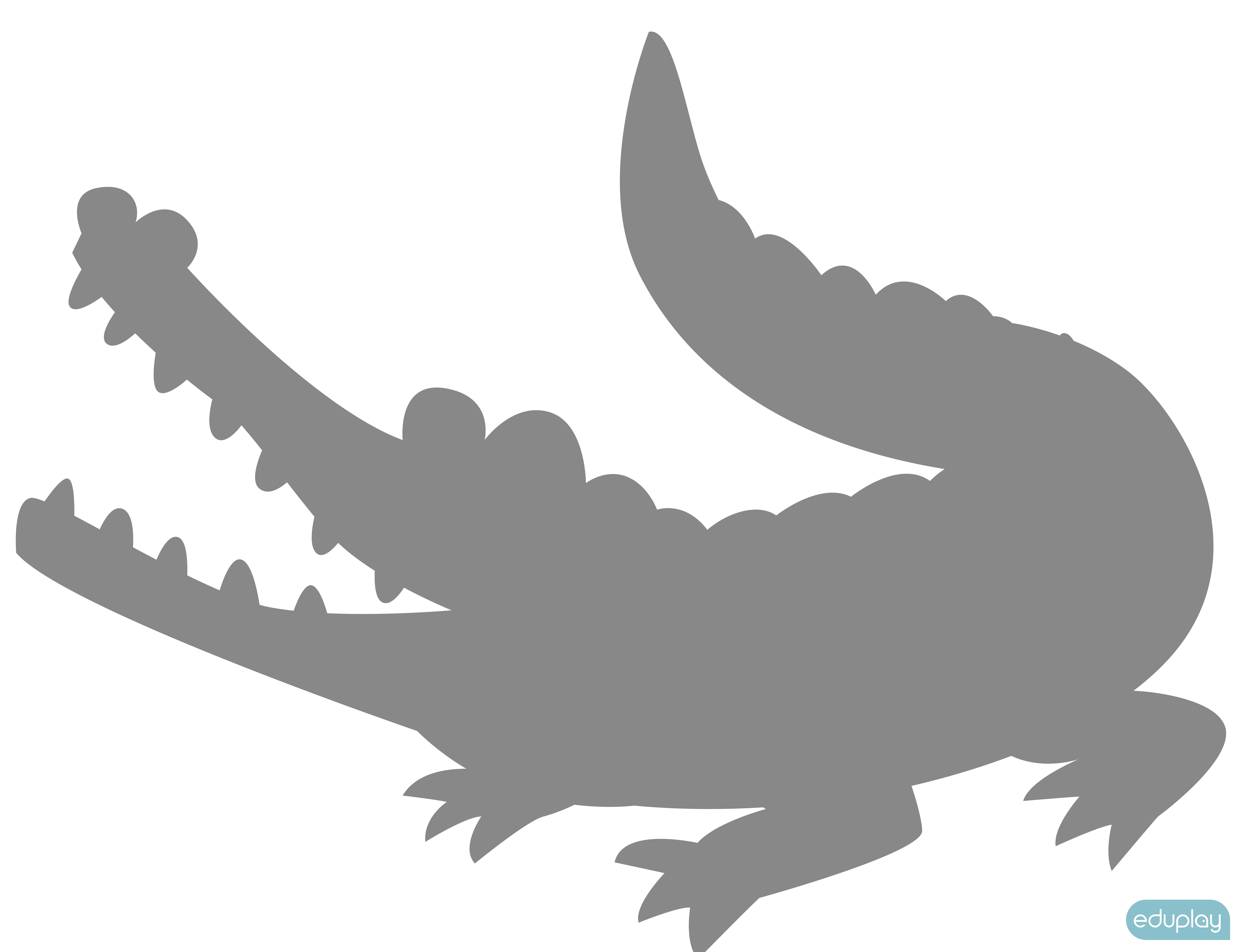 Krokodille spejlfigur