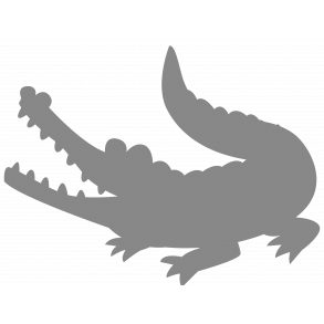 Krokodille spejlfigur