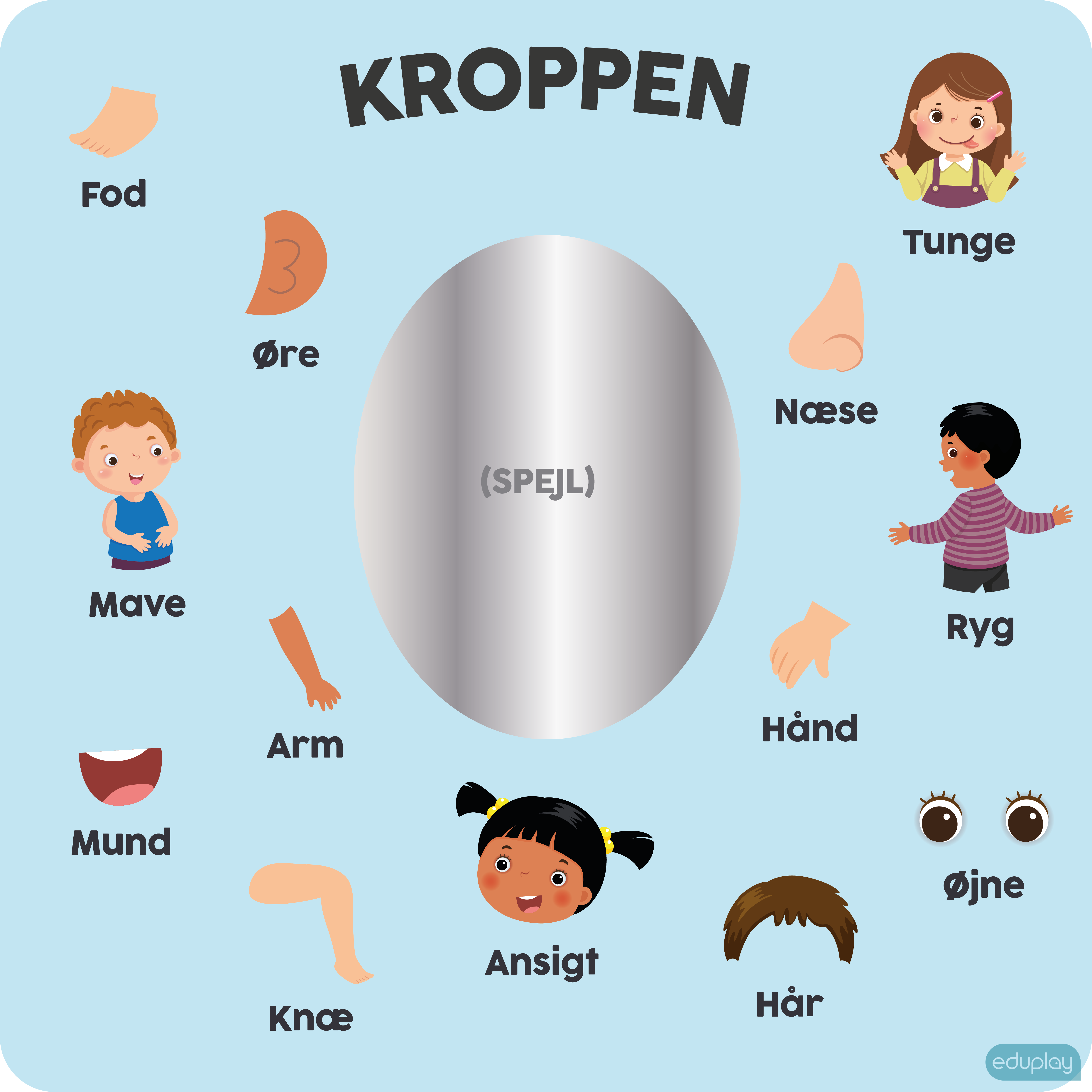Kroppen med spejl