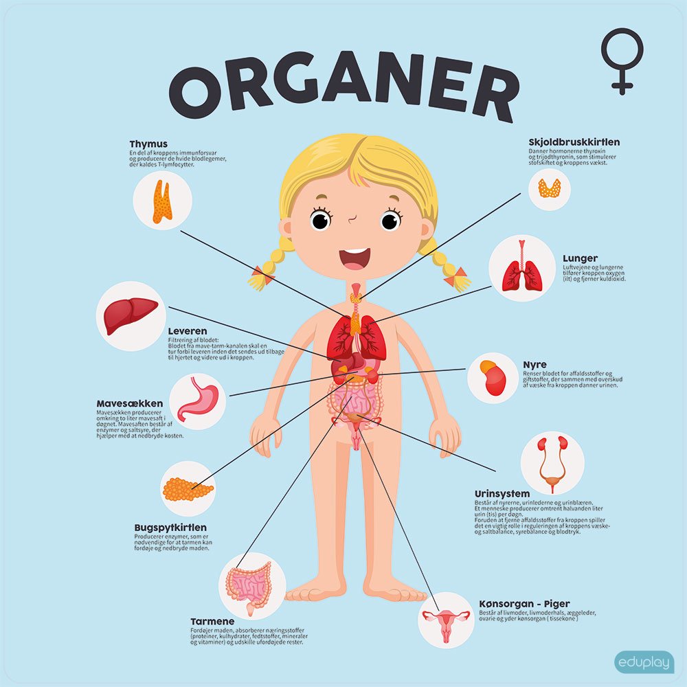 Organer pige