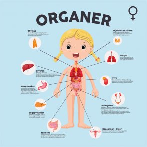 Organer pige