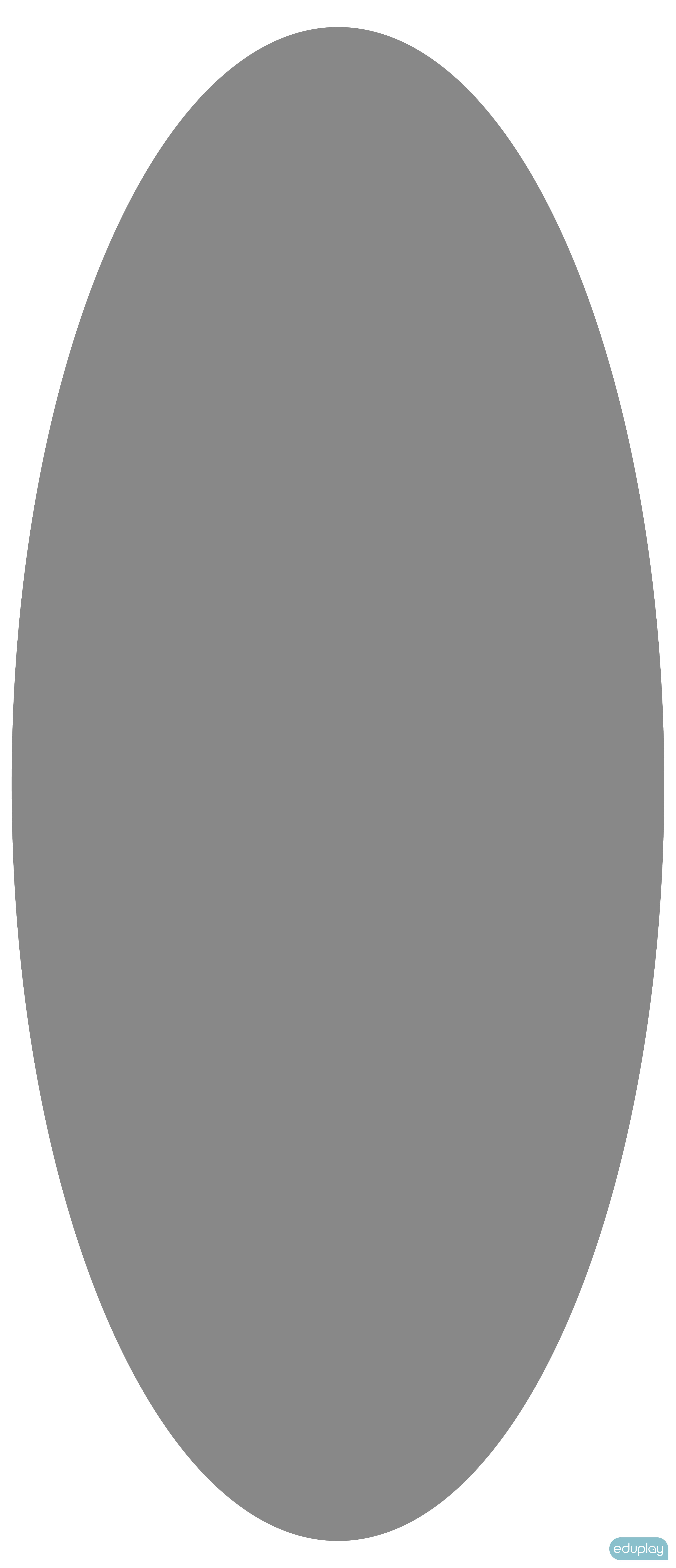 Oval spejlfigur