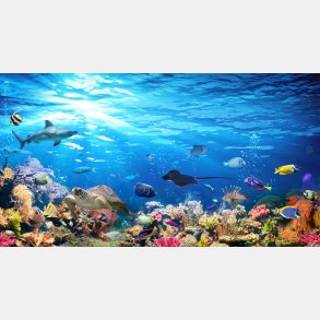 Undervands - vgfolie