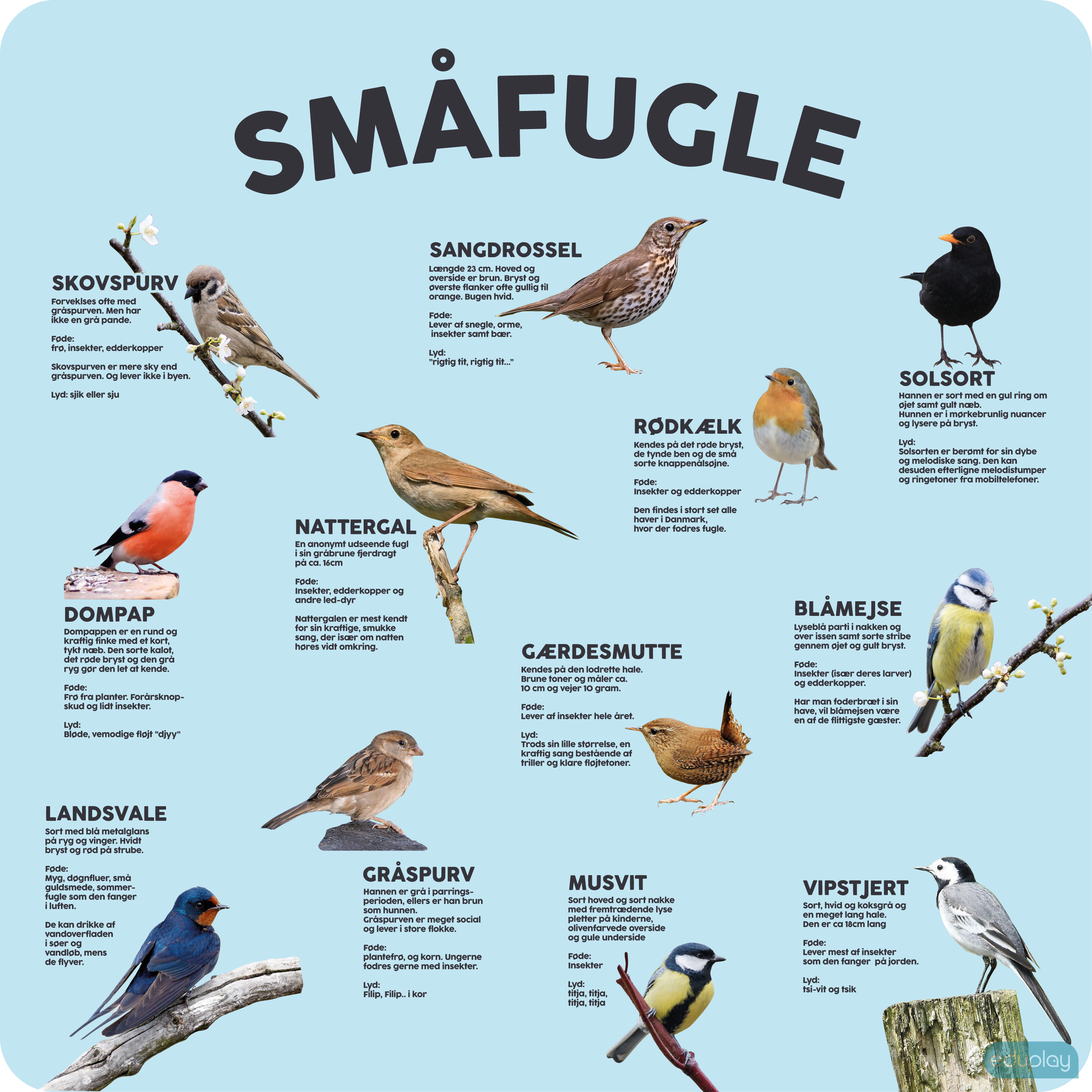 Smfugle
