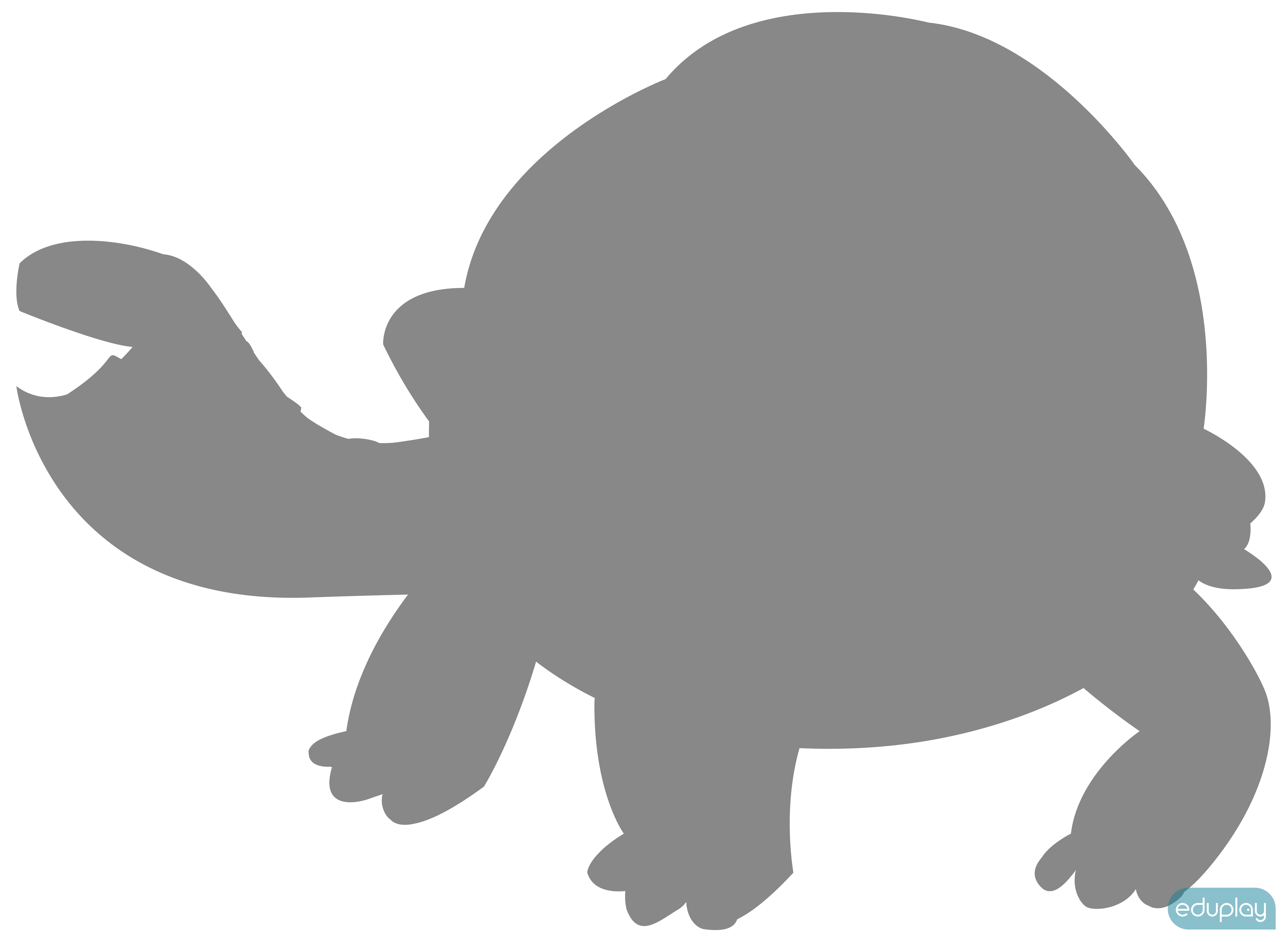 Skildpadde spejlfigur