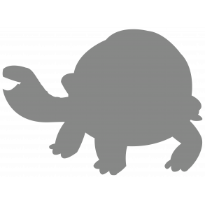 Skildpadde spejlfigur