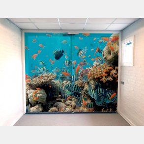 Akvariumdesign til dobbeltdre