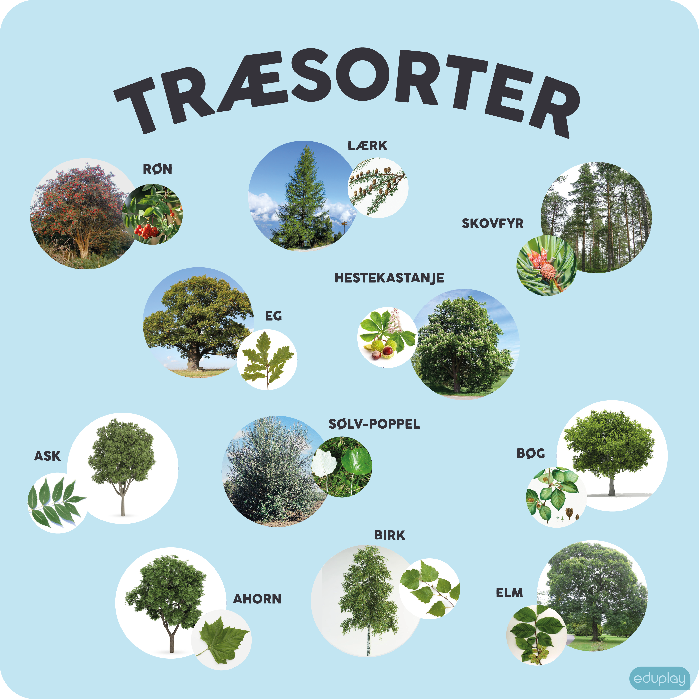 Trsorter