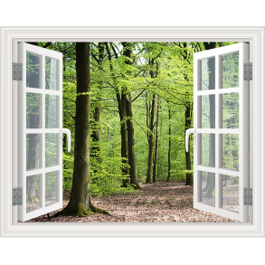 Vinduesparti med udsigt til skov - vgfolie